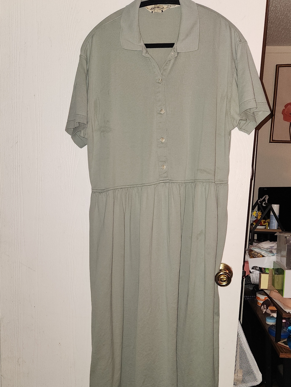 Women's Eddie Bauer Dress
